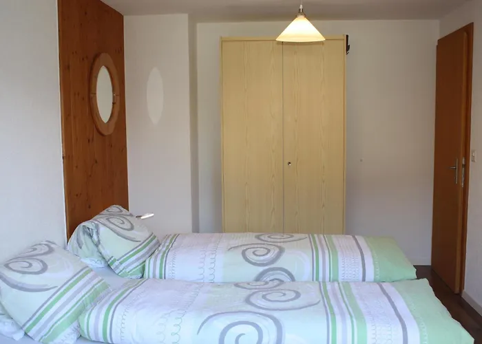 Gerbera 2 * Βένγκεν