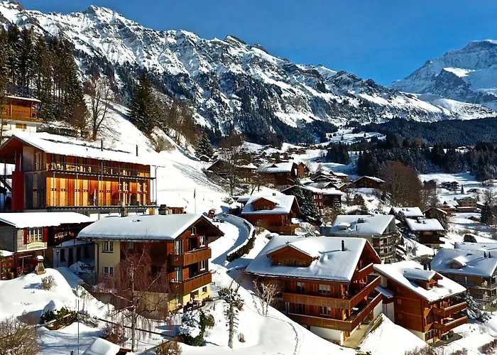 Gerbera 2 * Βένγκεν