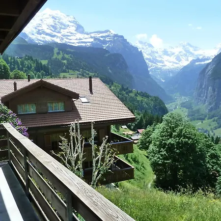 Gerbera 2 Appartement *